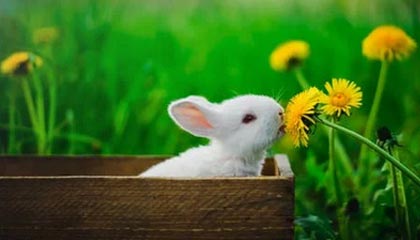 -逆转奇迹：那些让人热血沸腾的欧冠逆转比赛，欧冠最不可思议的逆转