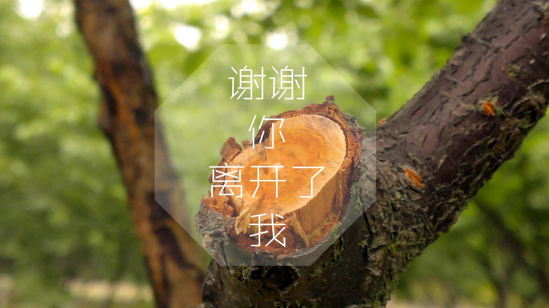 亚洲球队防守端稳固提升，亚洲球员