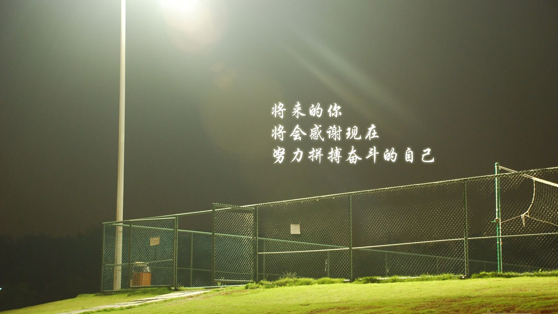 本菲卡边路突破成功率居高，本菲卡阵容最新
