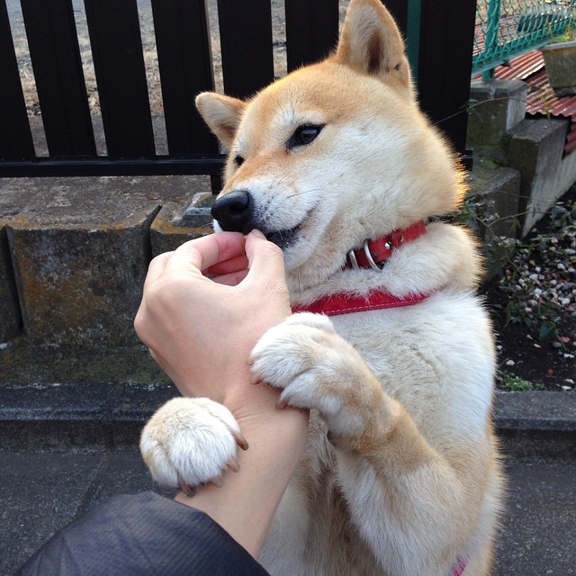 体育新闻中心赛场纪律观察，体育新闻赛况