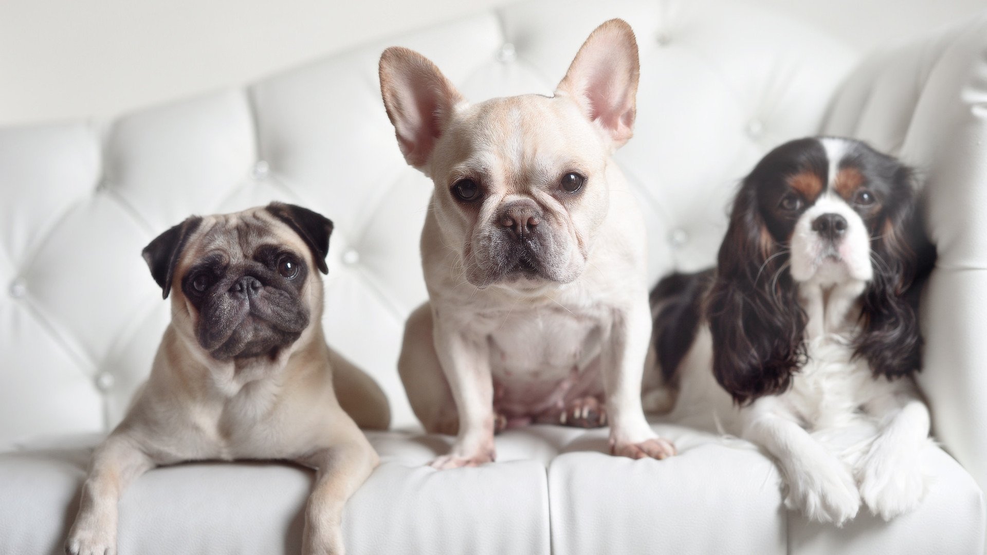 熊猫体育官网-威少称信任是组织进攻的最大武器