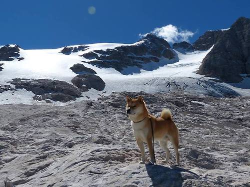 熊猫体育APP-布克掌控进攻节奏带动全队投篮命中率上升，布克球员