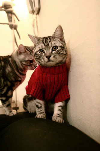 布克掌控进攻节奏带动全队投篮命中率上升，布克球员