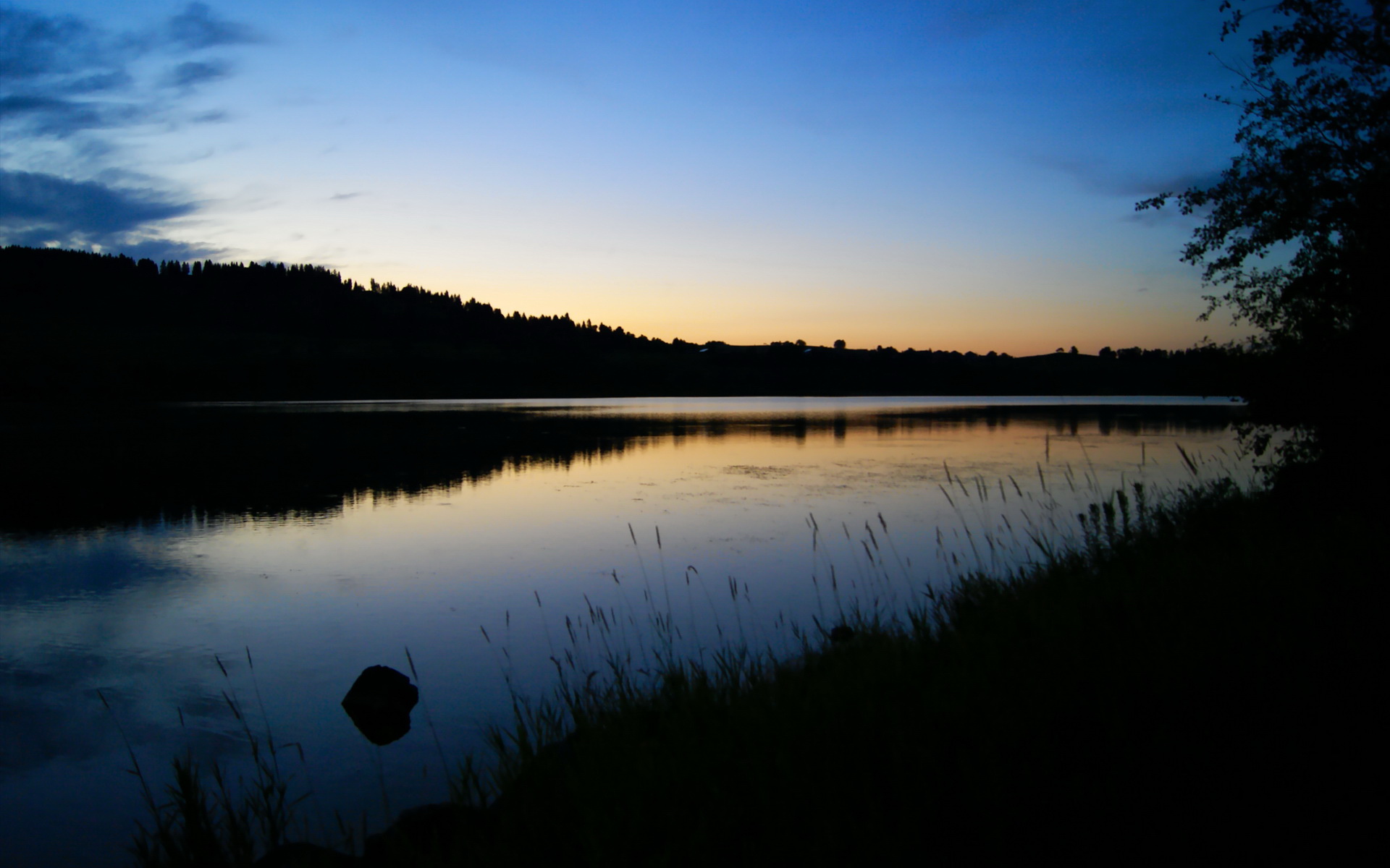 熊猫直播-特斯·冯·迪克：在比赛中不断调度全场进攻，帮助南非队稳住优势