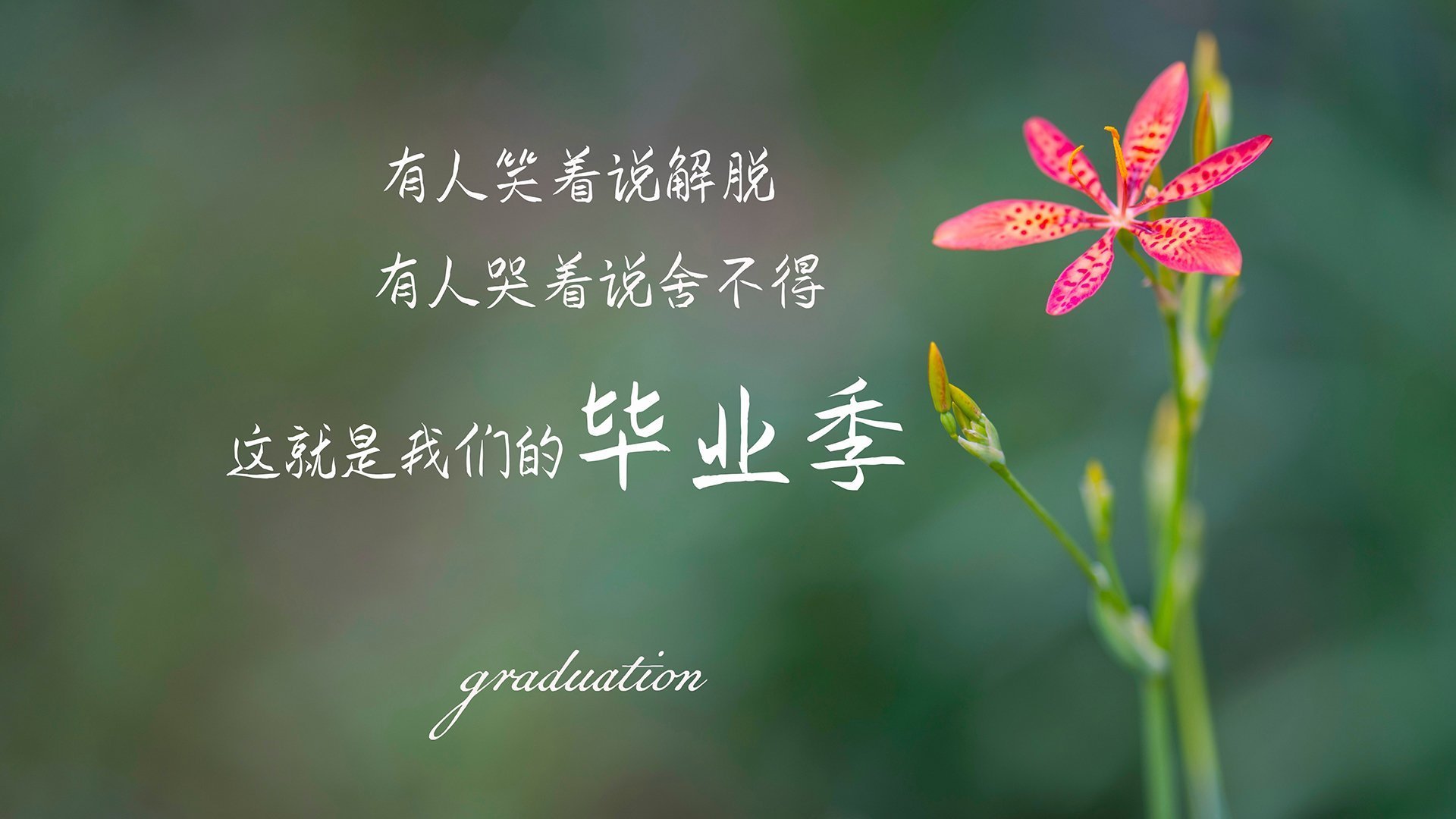 羽毛球训练基地智能监控系统投入使用，羽毛球智能管理系统