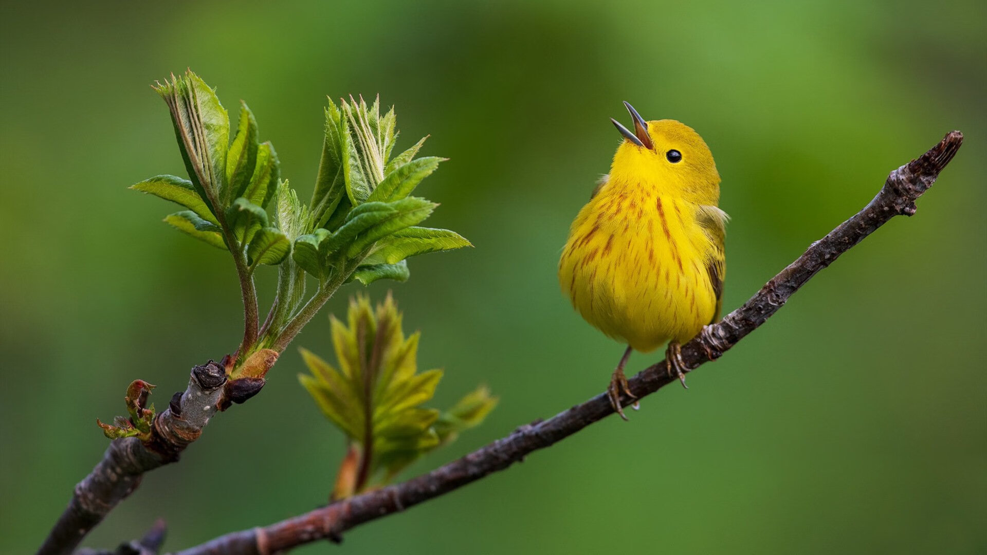 退役国手担任青训营讲师强调基础训练是成材核心关键，青训退役选手
