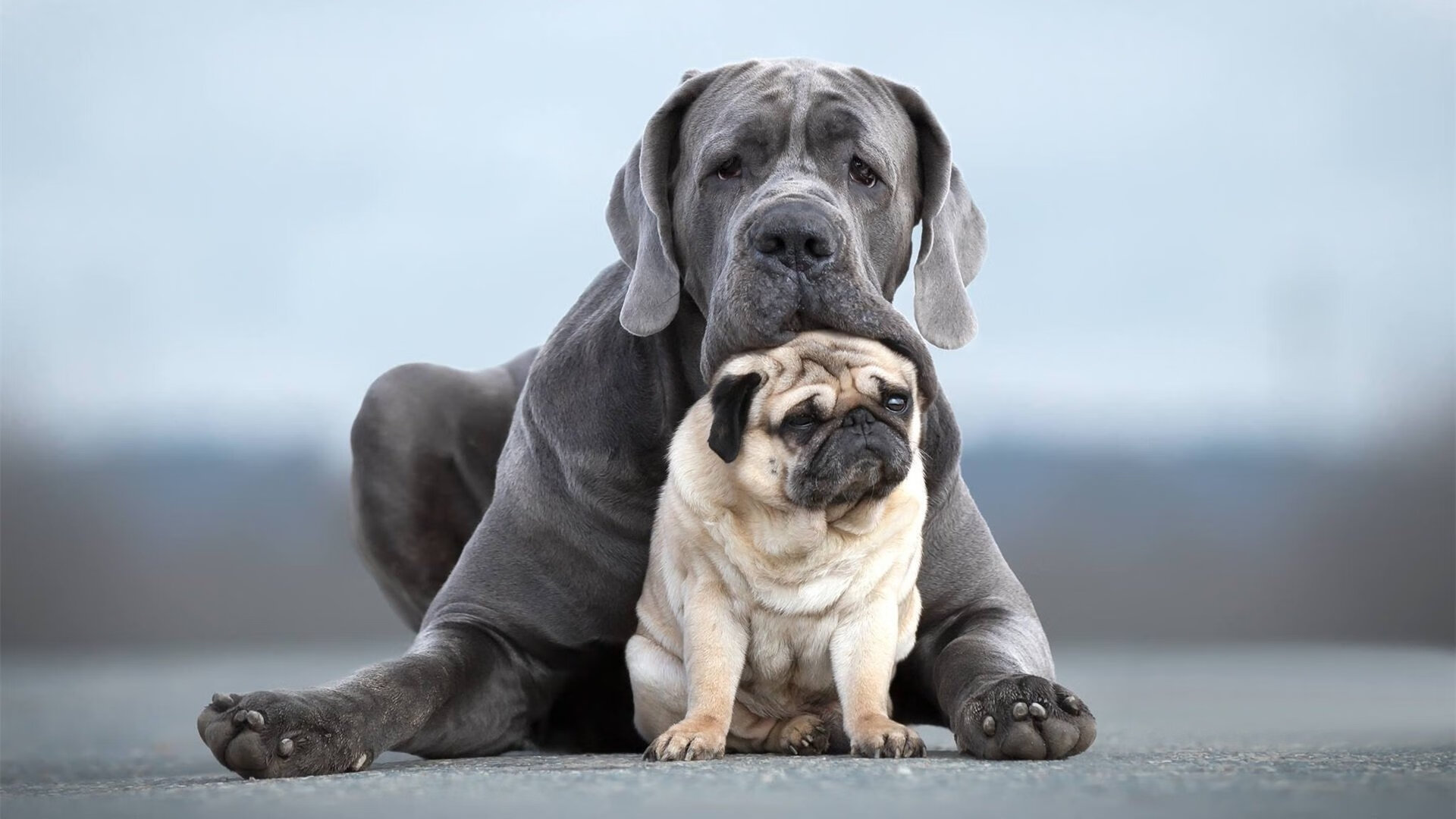 里根·史密斯引领新一代仰泳潮流，雷根史密斯200米仰泳